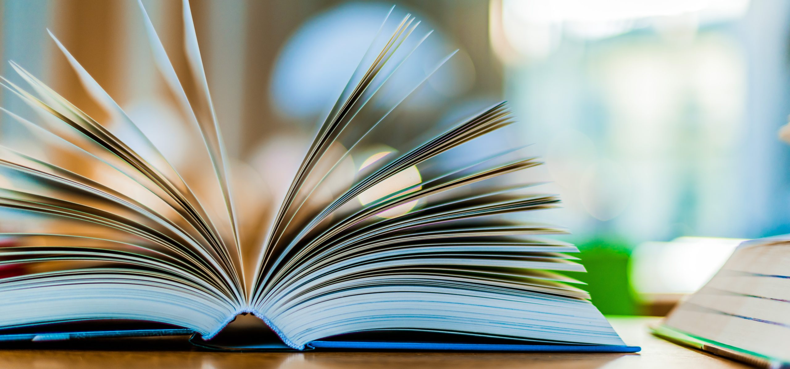 Bonus libri 2027: Isee fino a 40mila euro e aiuti solo per alcune classi scolastiche